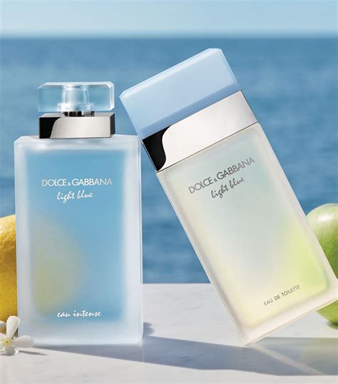 DOLCE&GABBANA Light Blue Eau de Toilette online bestellen